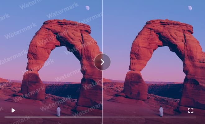Video Watermark Remover